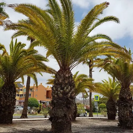 Los Cristianos Valdes Center 5 Lejlighed